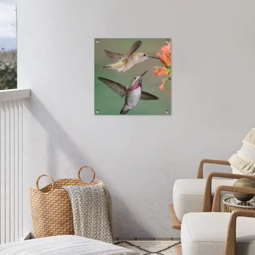Kolibries bij Bloemen tuinposter los doek klein -sfeer8