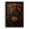 Schotse Hooglander - Koe - Portret - Dieren fotolijst zwart zonder passe partout klein -3d