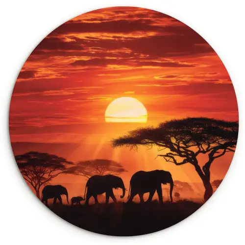 Savanne - Olifanten - Zonsondergang Wandcirkel kunststof plaat 5mm dik klein -3d