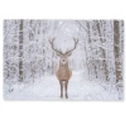 Hert - Winter - Bos - Natuur - Wit Deurmat klein -zkaufland3d
