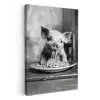 Varken - Schattig - Spaghetti - Zwart wit - Dier KitchenYeah - Keuken - Canvas klein -3d