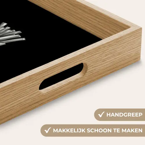 Frietjes - Futuristisch - Zilver Dienblad Rechthoek middel -USP_HandgreepNL