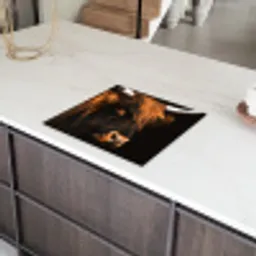 Fluisteringen van het Woud Inductie beschermer vinyl 3mm middel -sfeer8
