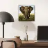 Olifant - Natuur - Gras - Dieren - Landschap aluminium wit klein -sfeer5