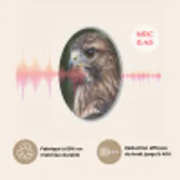 Buizerd - Roofvogel - Natuur - Bruin Akoestische PET Vilt - Rond klein -USP_FR
