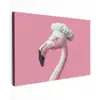 Flamingo - Roze - Koksmuts - Vogel Tuinposter op houten frame 2 cm dik klein -3d