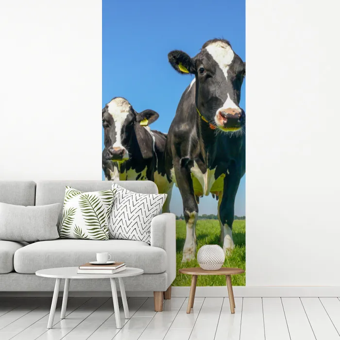 Koeien - Weiland - Gras - Dieren - Boerderij fotobehang vinyl groot -woonkamer