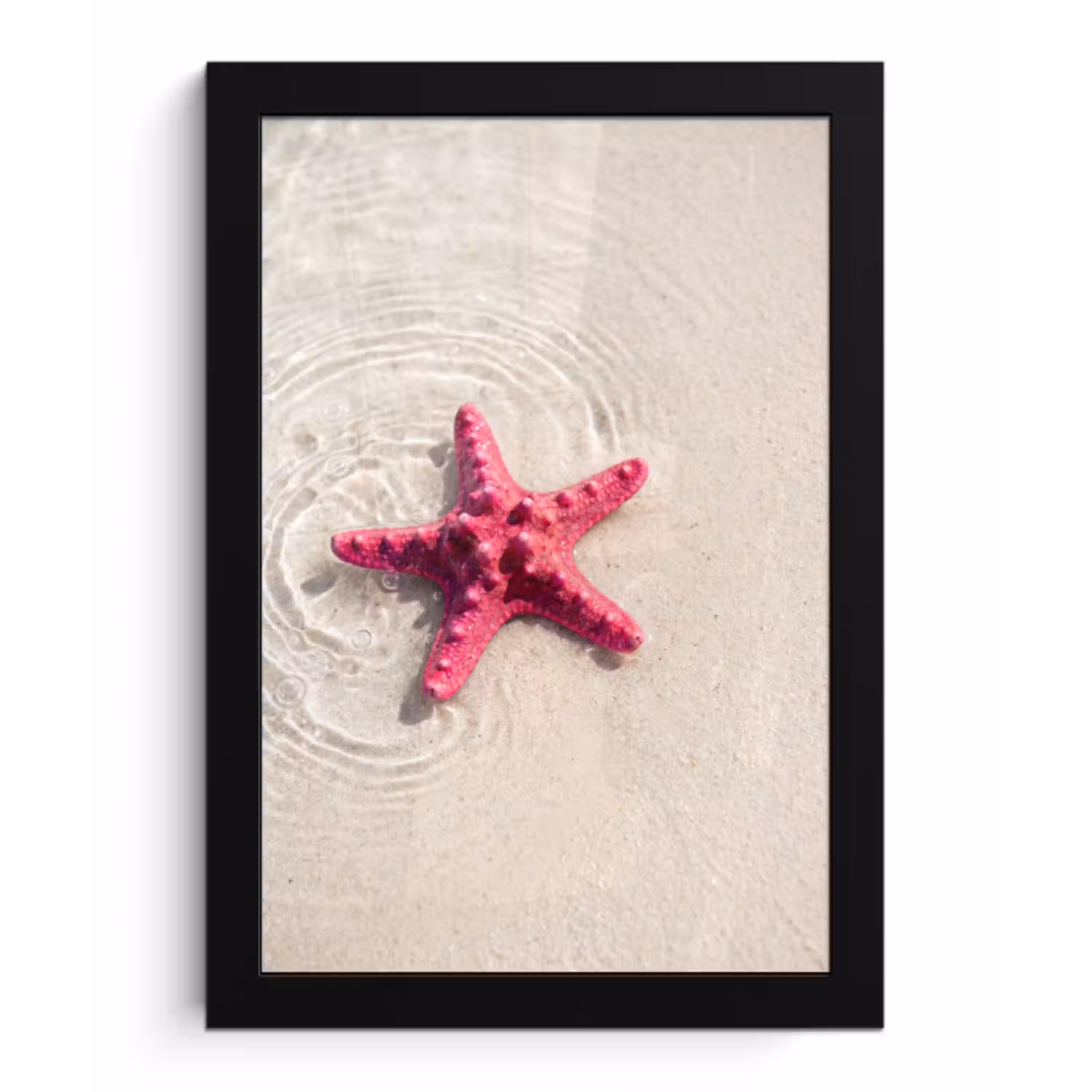 Zeeleven - Zeester - Strand - Roze - Water fotolijst zwart zonder passe partout klein -3d