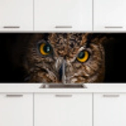Uil - Dier - Oranje keuken achterwand 2 middel -3d