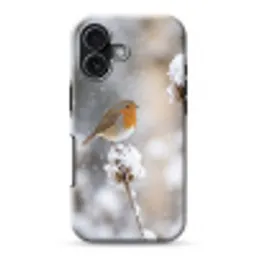 Roodborstje - Gedroogde bloem - Sneeuw - Winter - Vertederend Toughcase MagSafe Apple iPhone 17 klein -3d