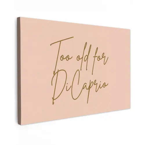 Too old for dicaprio - Roze - Groen Tuinposter op houten frame 2 cm dik klein -3d