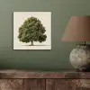 Eikenboom - Groen - Lichte achtergrond aluminium wit klein -sfeer2