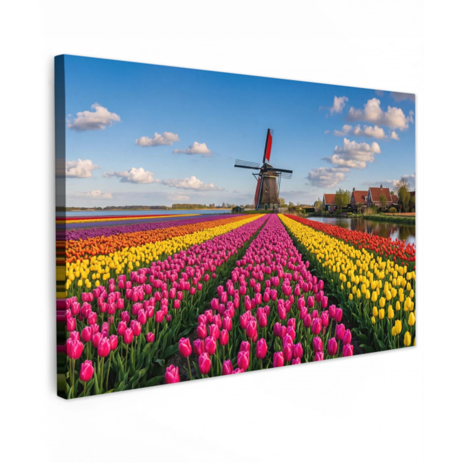 Tulpen - Holland - Molen - Kleurrijk canvas 2cm klein -z3d