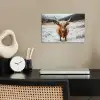 Schotse Hooglander - Landschap - Sneeuw - Bergen - Winter poster papier klein -sfeer1