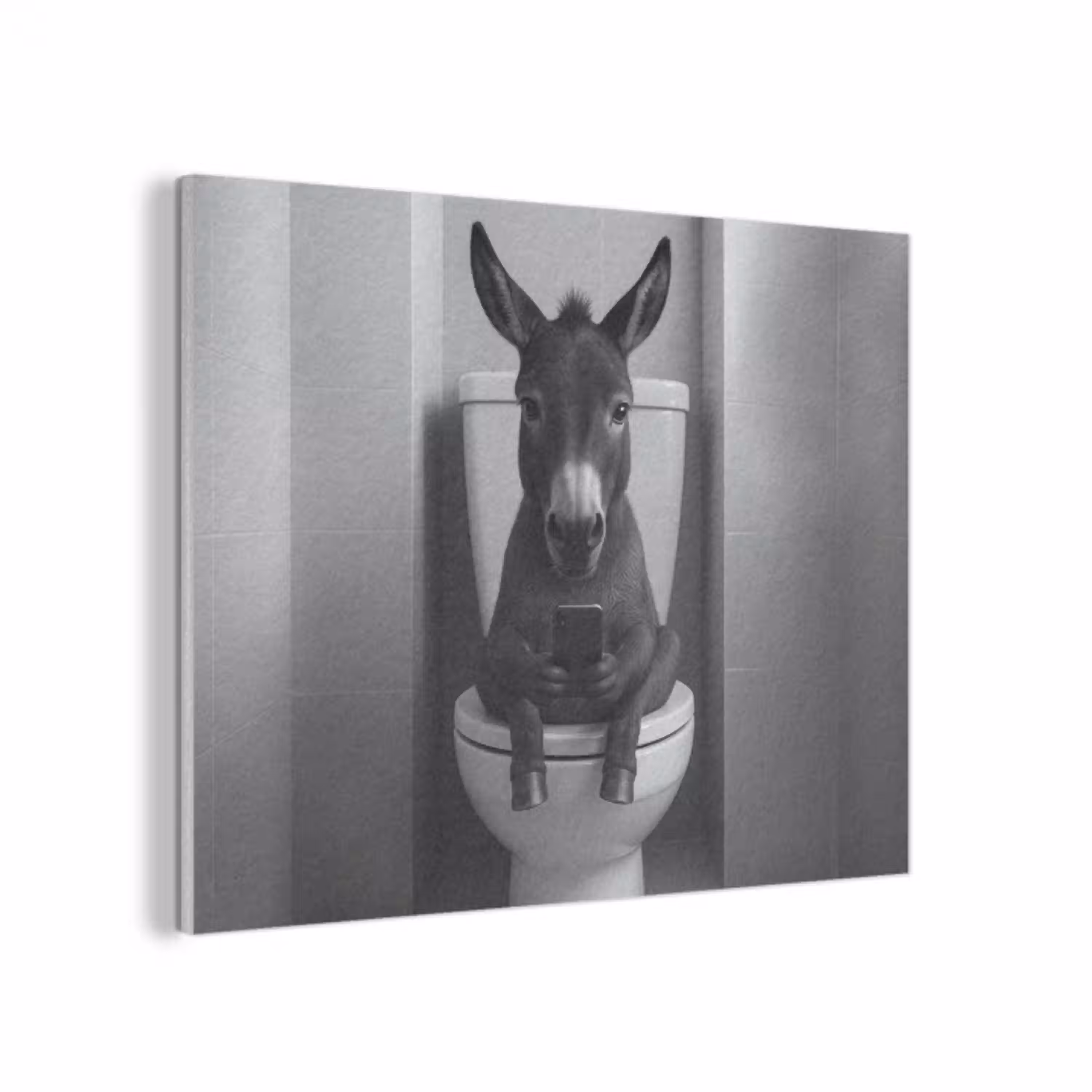 Ezel - Telefoon - Toilet - Zwart - Wit PET vilt klein -3d