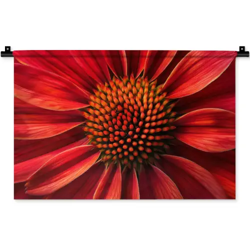 Close up - Bloem- Rood Wandkleed katoen klein -zz3d