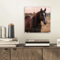 Paard - Zonsondergang - Bruin plexiglas 5mm klein -sfeer1