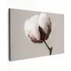 Katoenbol - Minimalistisch - Wit Tuinposter op houten frame 2 cm dik klein -3d