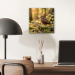 Houtsnip - Bos - Bladeren - Herfst - Gecamoufleerd aluminium wit klein -sfeer5