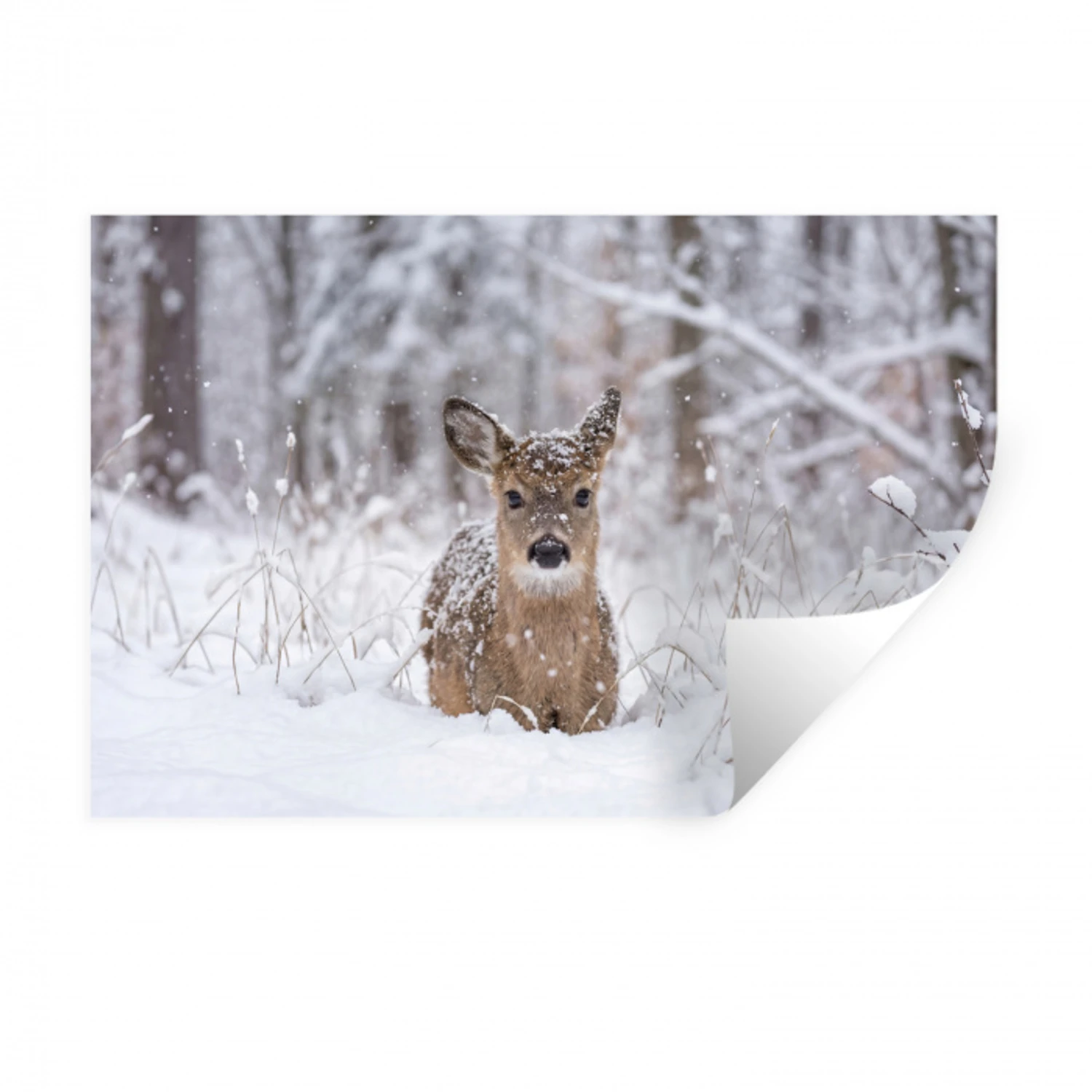 Hert - Sneeuw - Bos - Dieren - Vertederend Muursticker klein -3d