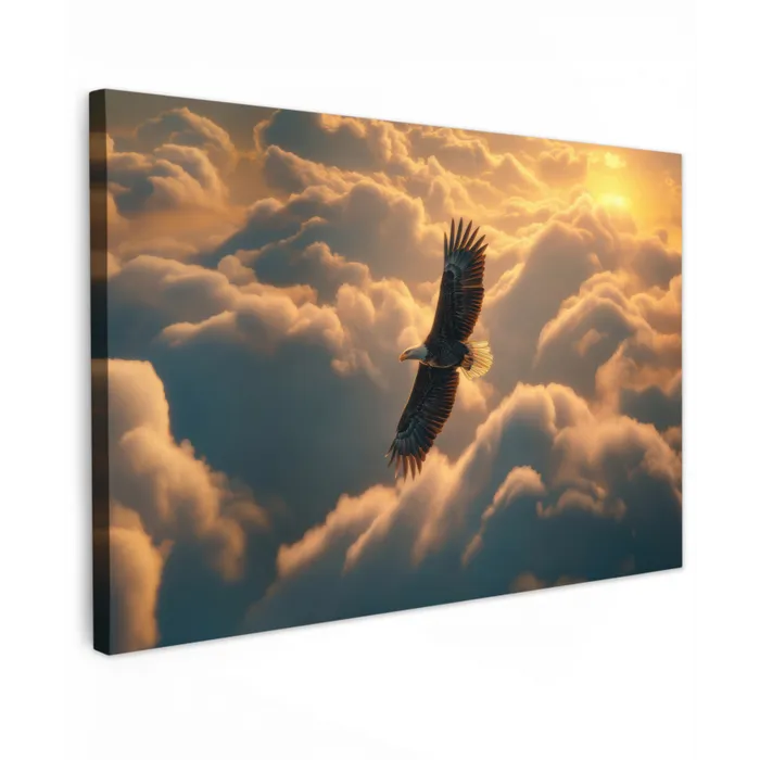 Adelaar - Wolken - Zon canvas 2cm klein -z3d