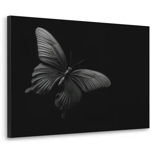 Vlinder - Zwart - Insect - Dieren Textielframe zwart klein -3d