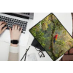 Ara - Jungle - Rood laptophoes neopreen klein -bureau