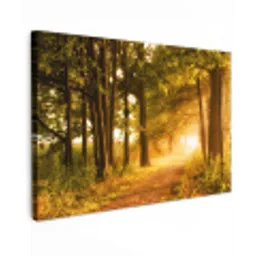 Bos - Bomen - Zonlicht - Herfst - Bospad - Natuur Tuinposter op houten frame 2 cm dik klein -3d