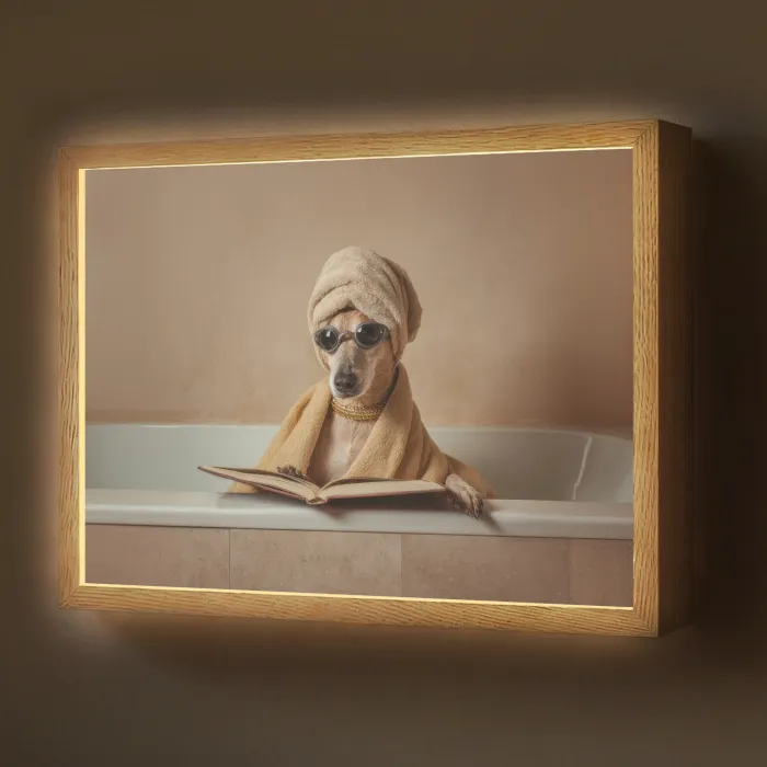 Bad - Hond - Boek - Zonnebril Light Box met batterij (Wandlamp) middel -z3d_website