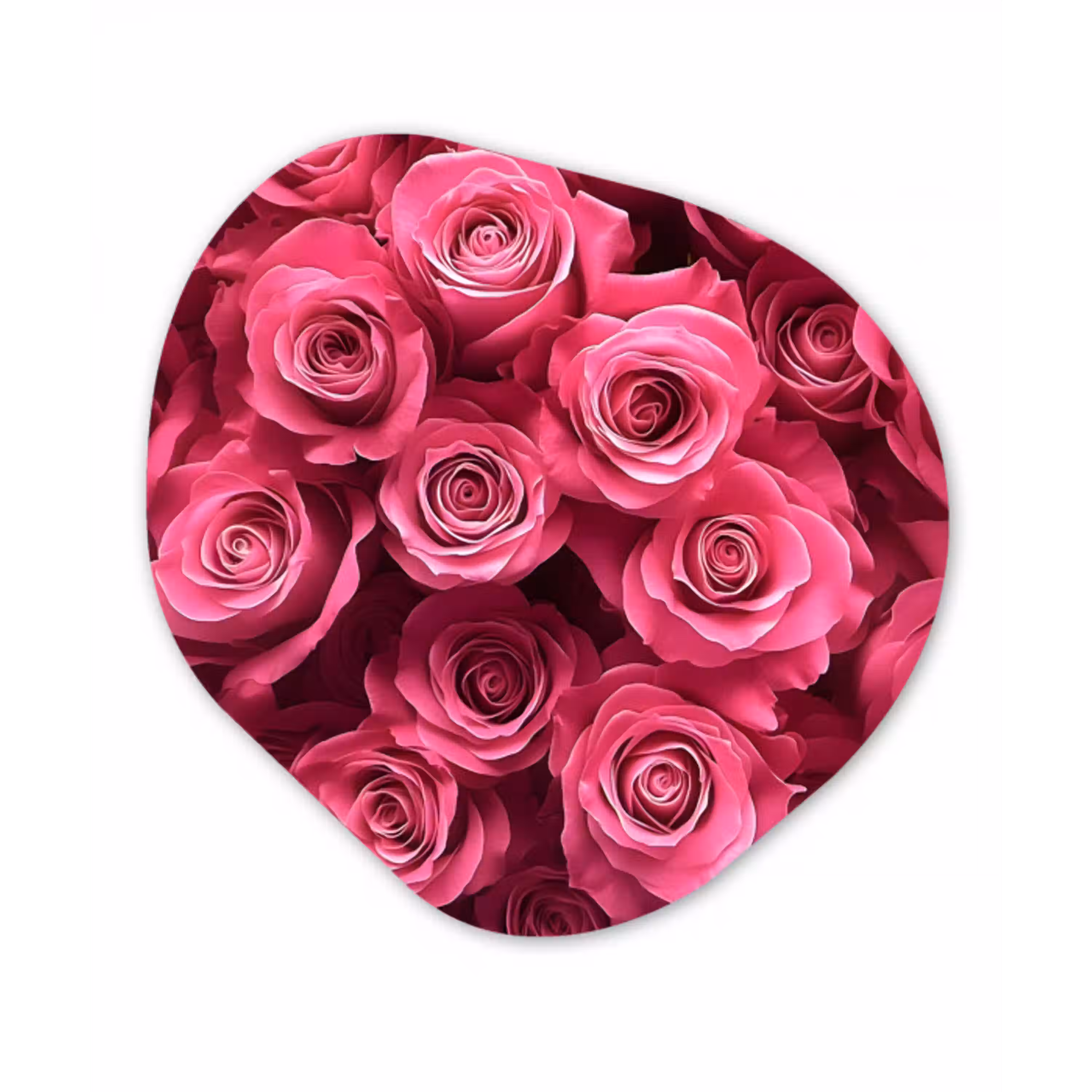 Rozen - Pink - Bloem Wandcirkel Organisch Aluminium middel -3d