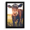Koe - Zonsondergang - Bloemen - Gras - Dieren fotolijst zwart zonder passe partout klein -3d