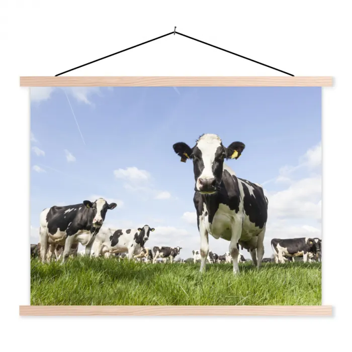 Koeien - Gras - Dieren - Zon - Boerderij textielposter latten blank klein -3d