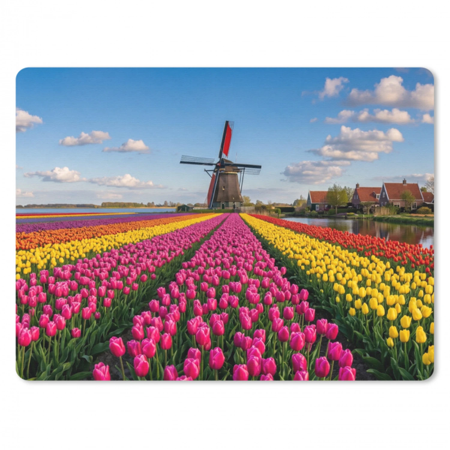 Tulpen - Holland - Molen - Kleurrijk muismat rubber klein -3d