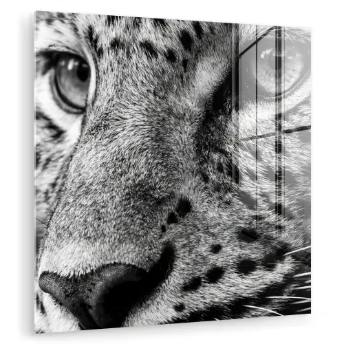 Luipaard - Zwart - Wit - Oog plexiglas 5mm klein -zzzproduct_nieuw