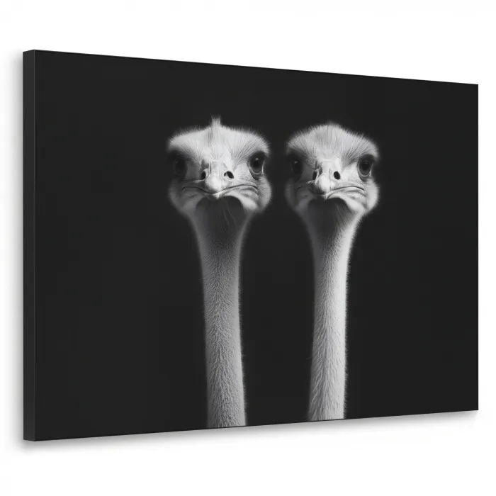 Struisvogels - Halzen - Zwart - Minimalistisch Textielframe zwart klein -3d