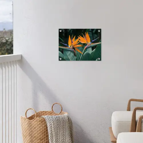 Paradijsvogel - Bloem - Exotisch tuinposter los doek klein -sfeer8