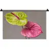 Planten - Anthurium - Groen - Roze Wandkleed katoen klein -zz3d