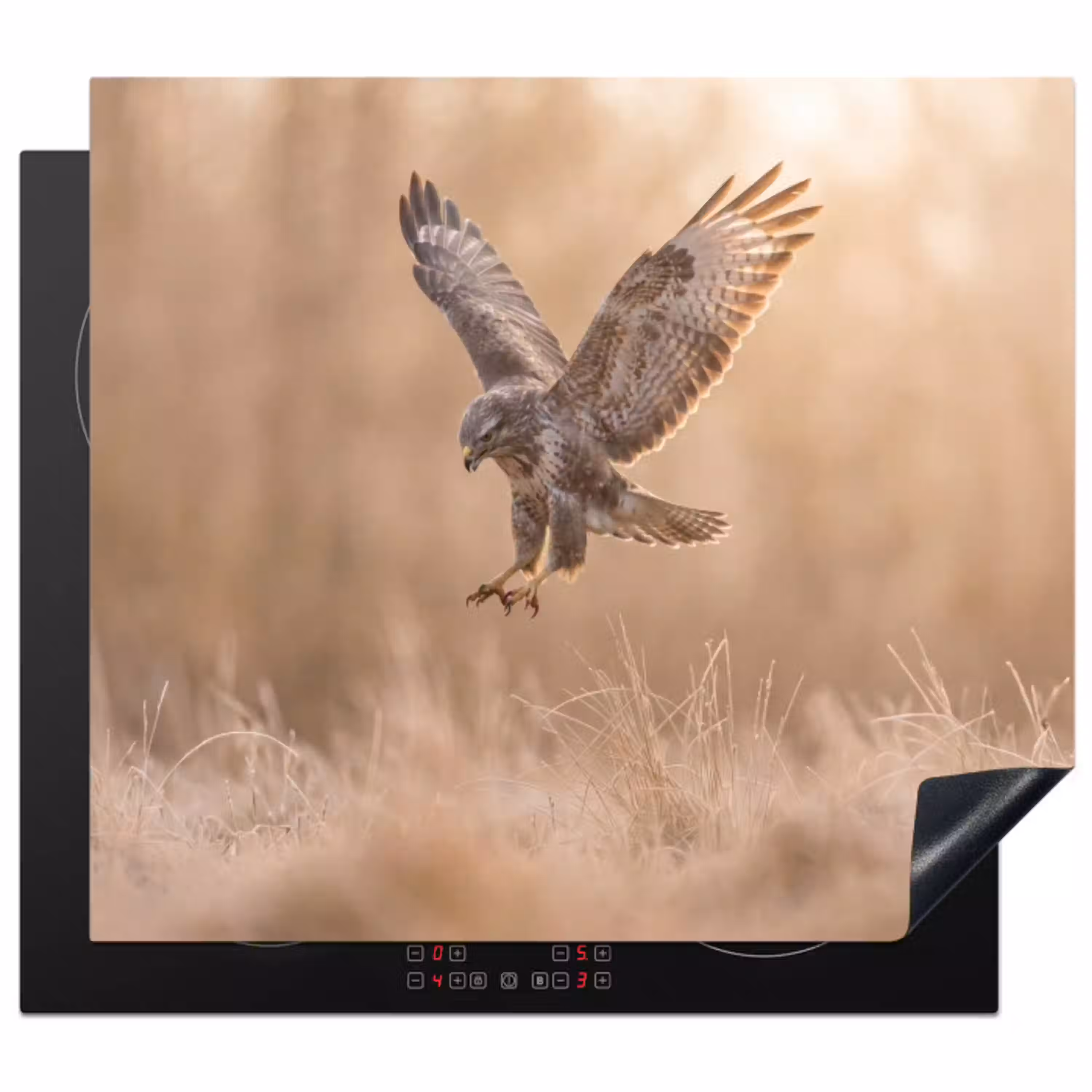 Buizerd - Roofvogel - Natuur - Bruin Inductie beschermer vinyl 3mm middel -3d