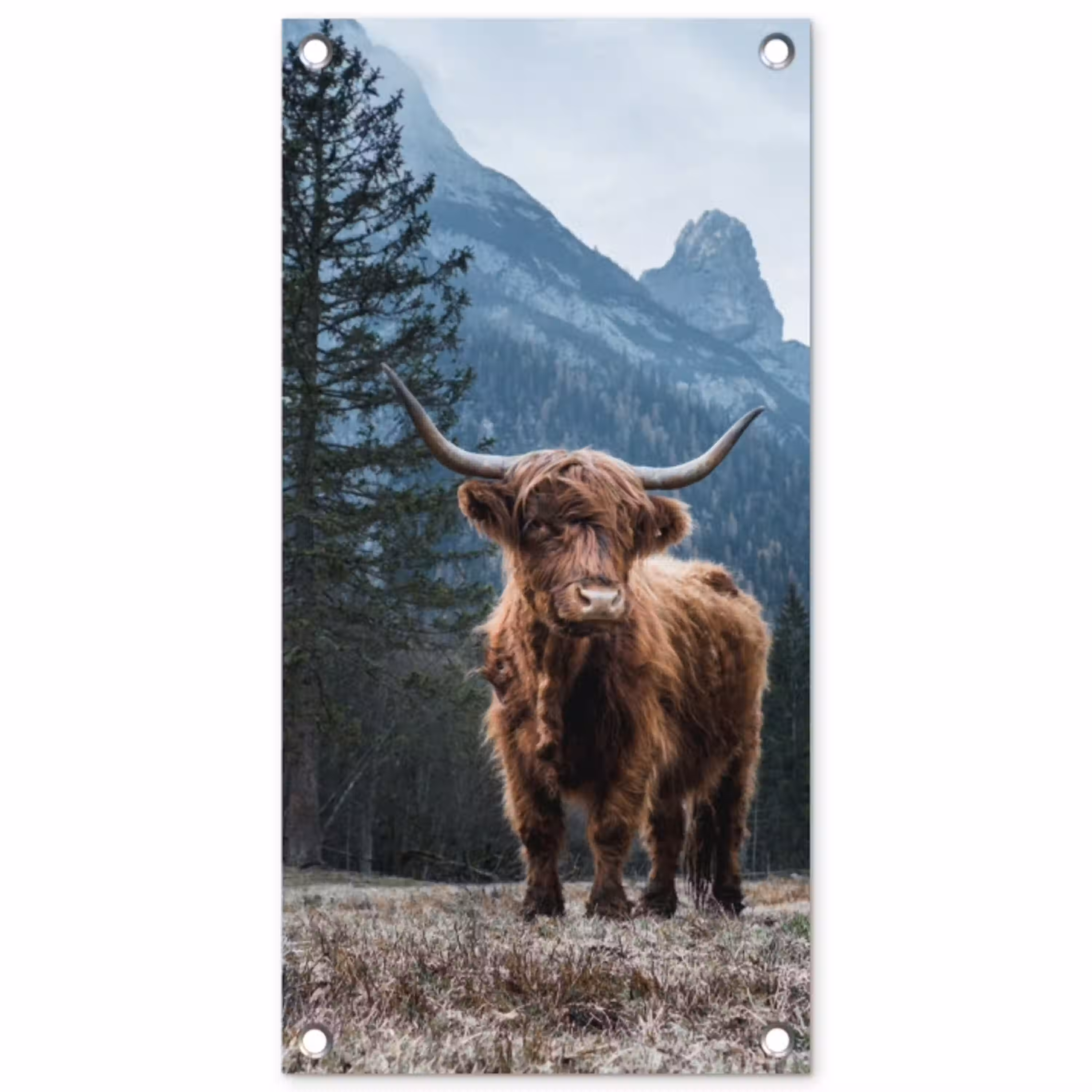 Hooglander voor Bergen tuinposter los doek klein -3d