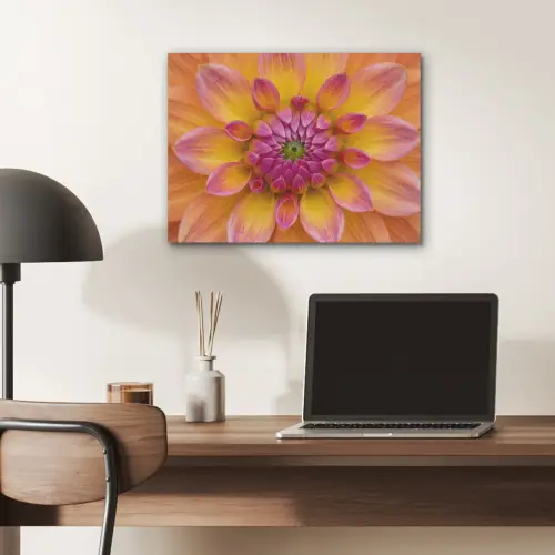 Dahlia - Bloem - Oranje PET vilt klein -sfeer5
