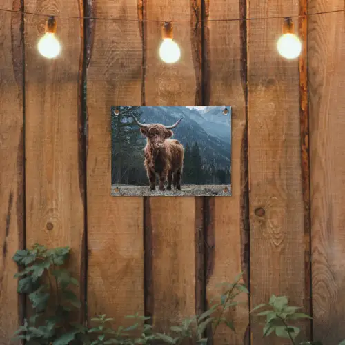 Schotse hooglander - Berg - Landschap - Bomen - Koe - Natuur tuinposter los doek klein -sfeer1
