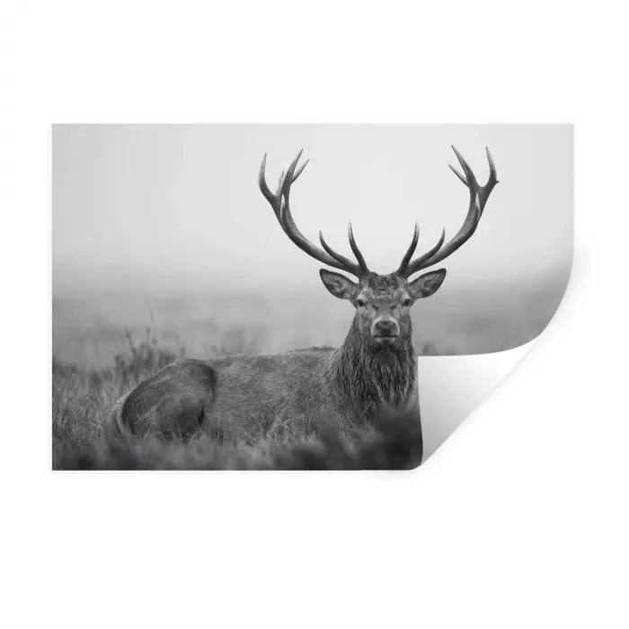 Hert - Mistig - Zwart - Wit Muursticker klein -3d