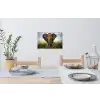 Olifant - Natuur - Gras - Dieren - Landschap Muursticker klein -eettafel
