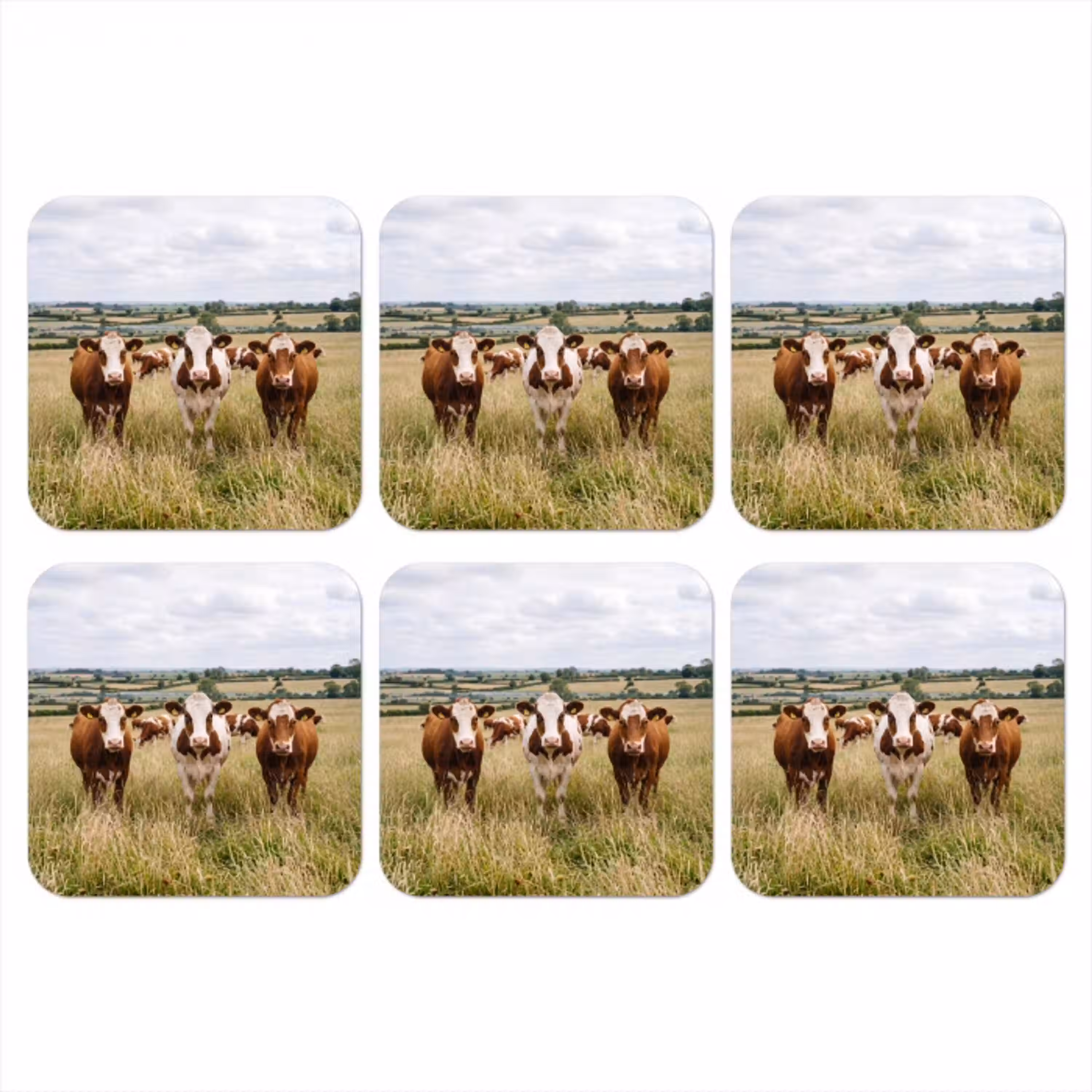Koeien - Portret - Weide - Boerderij - Nieuwsgierig onderzetter kurk middel -3d