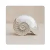 Schelp - Spiraal - Beige muismat rubber klein -3d