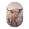 Schotse Hooglanders - Sneeuw - Zon Wandcirkel Ovaal Forex klein -3d