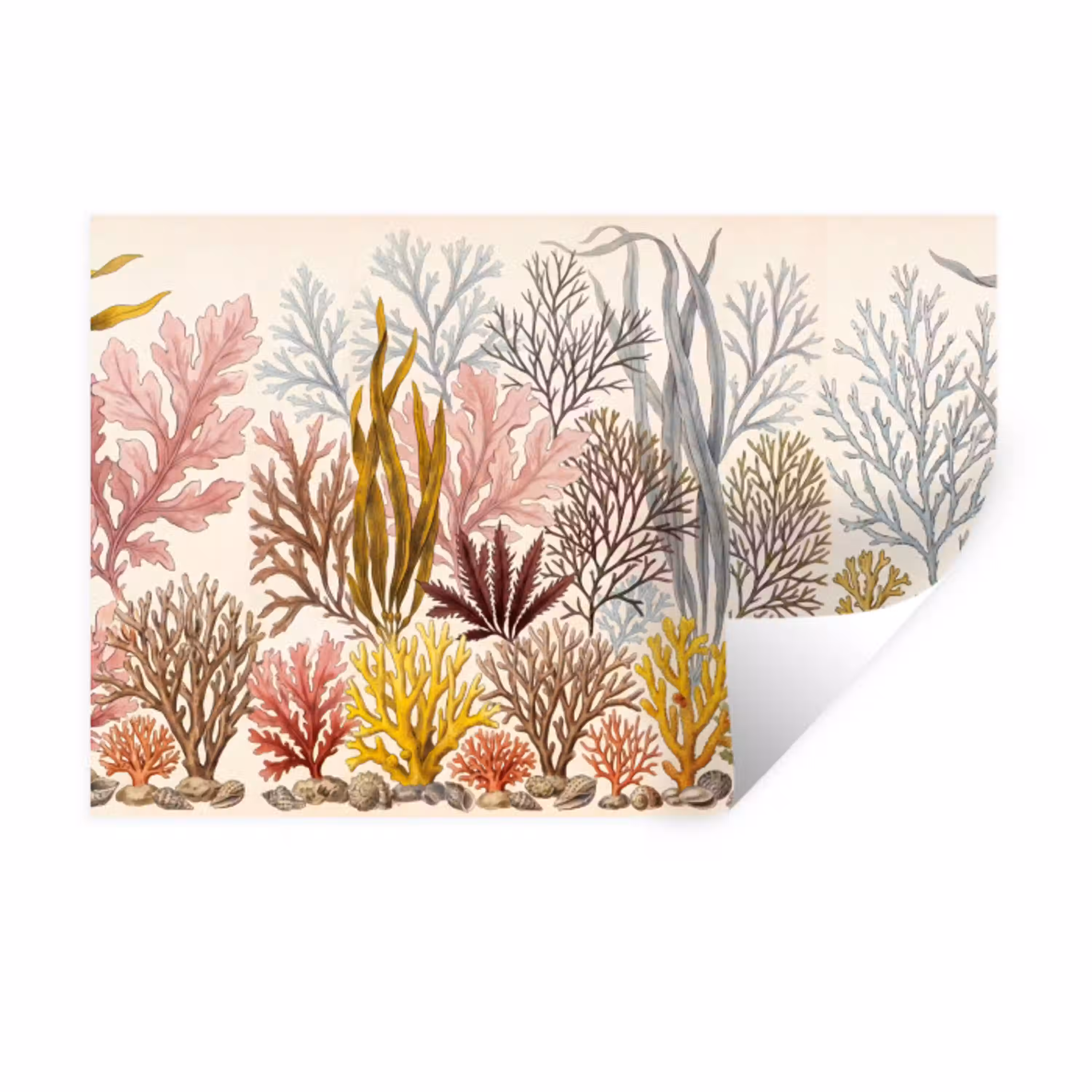 Natuur - Onderwater - Botanisch - Vintage - Kleurrijk Muursticker klein -3d