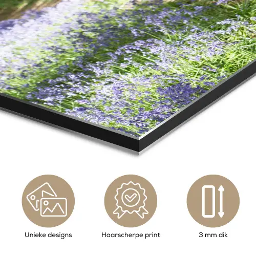 Bos - Pad - Bloemen - Paars - Groen - Natuur aluminium wit klein -closeup_NL