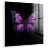 Vlinder - Paars - Levendig plexiglas 5mm klein -zzzproduct_nieuw