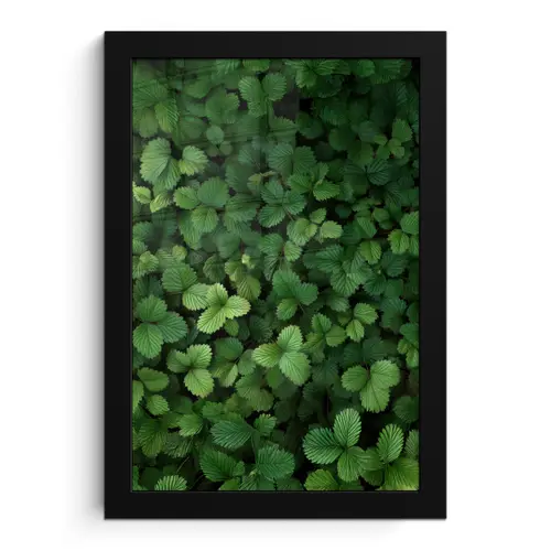 Groen - Bladeren - Kartel - Zonlicht fotolijst zwart zonder passe partout klein -3d
